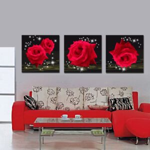 Splendid and Delicay Shiny Red Roses 16*16 in 3 Panel Framed Art Prints