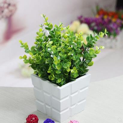 Popular Pretty Eucalyptus Leaves Flowers Set