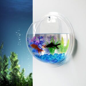 Creative Acrylic Wall Flower Vase Mini Fish Bowl Green Plants Terrarium