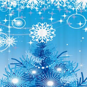 New Arrival Fantastic Christmas Design 3D Shower Curtain