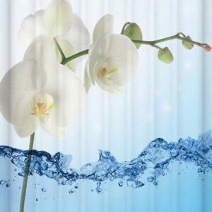 Concise Unique Flower Printing 3D Shower Curtain