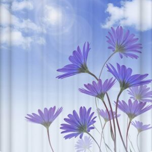 High Class Clear Sky Image 3D Shower Curtain