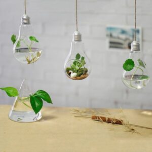 Modern and Creative Bulb Design Glass 1-Piece Hanging Terrarium