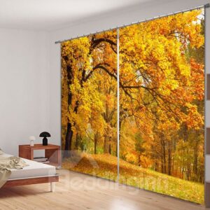 Beautiful Autumn Scene Polyester Printed 2 Panels Decorative Custom 3D Curtain