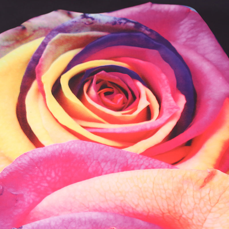 Rainbow Roses Printed 4-Piece Duvet Cover Set, Microfiber Polyester Floral Theme Bedding Set - Image 4