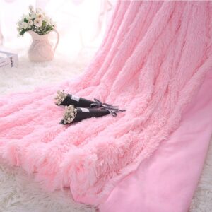 Princess Style Solid Pink Soft and Fluffy Double Layer Throw Blanket