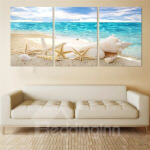 Shell Pattern 3 Pieces Hanging Canvas Waterproof Eco-friendly Framed Wall Prints