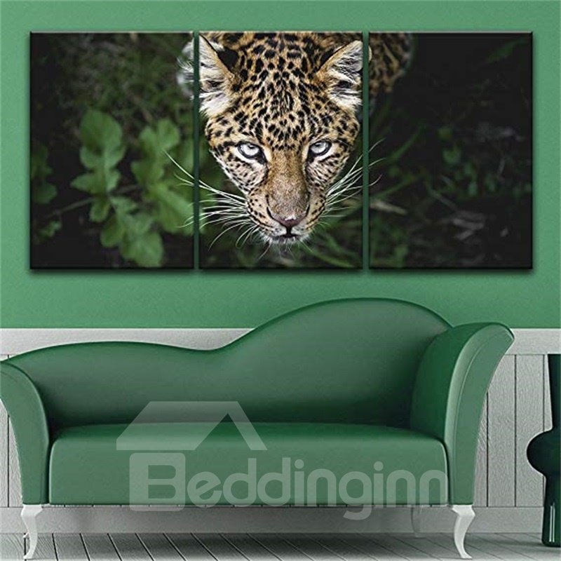 Tiger Head 3 Pieces Hanging Canvas Waterproof Eco-friendly Framed Wall Prints - Image 2
