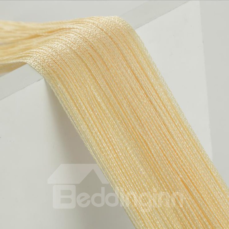 String Curtain Sheer Room Divider Door Decoration Champagne Beige