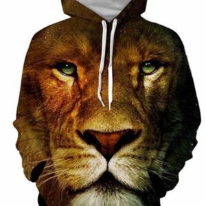 Vivid Lion Face 3D Printed Pullover Spring Men's Hoodies