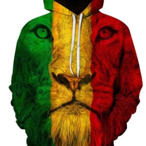 Creative and Colorful Lion Face 3D Printed Pullover Loose Men's Hoodies