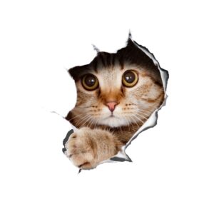 3D Cat Tear the Wall Pattern Removable Mouse Pad Desk Stickers