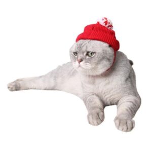 Teddy Puppy Dog Cat Christmas Costume Cute Red Hat