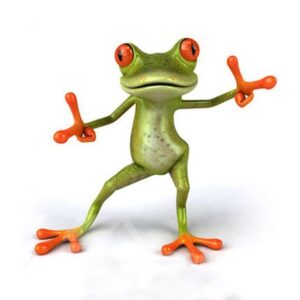 The Dancing Frog Pattern Car Sticker