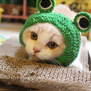 Frog Shape Design Cute Pet Green Hats for Small Cats