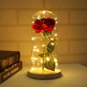 Beauty and The Beast Rose Light in Glass Dome Galaxy Red Rose Flower Christmas Gifts Home D¨¦cor Artificial Flower Rose Valentine's Day Mothers Day Wedding Anniversary Birthday Gifts for Mom