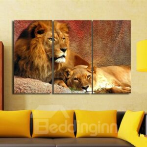 Fancy Modern European Style Realistic Lions Pattern 3 Pieces Framed Wall Art Prints