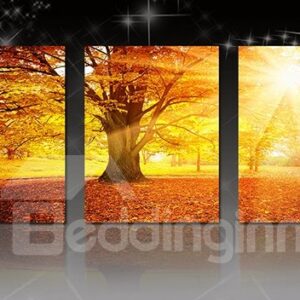 Amazing Sunlight Shining Through Thick Trees 3-Panel Canvas Wall Art Prints
