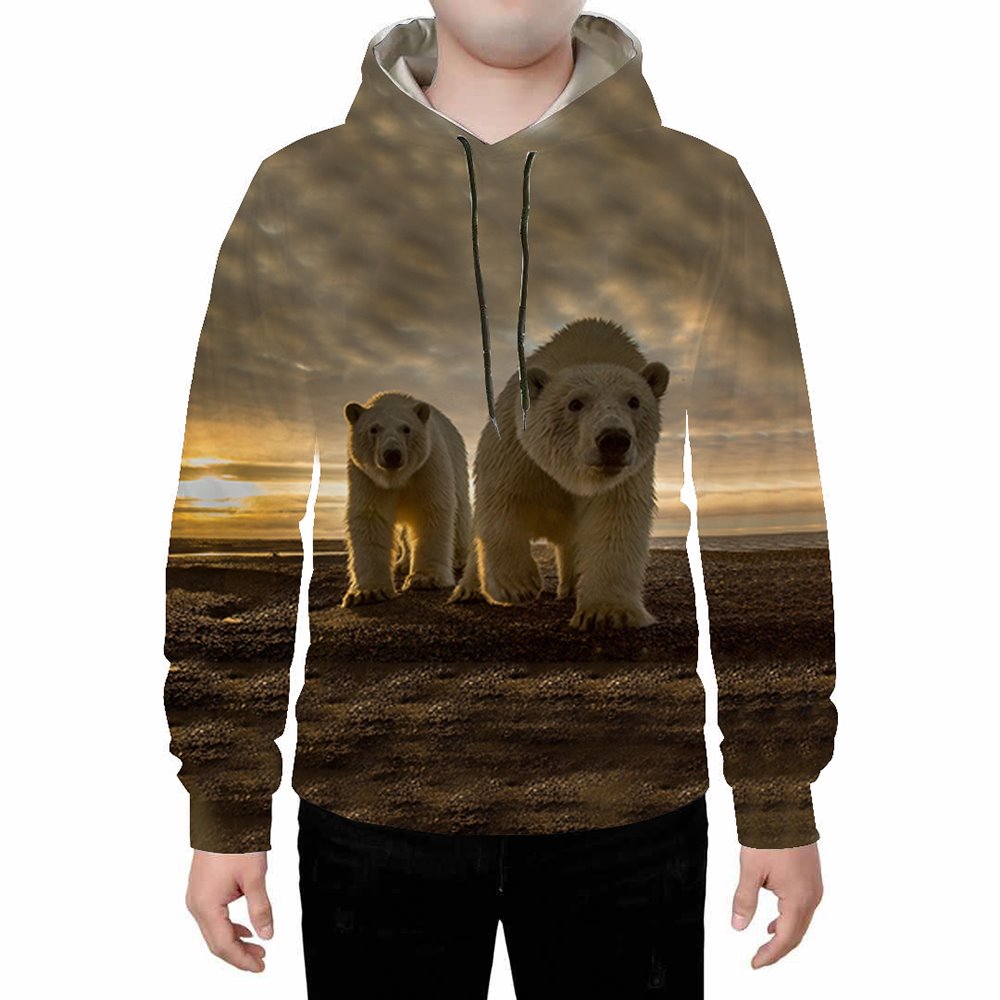 Long Sleeve 3D Polar Bear Printed Hoodie Sweatshirts Sweatpants Tracksuits Streetwear Sets Casual Print Spring Fall Winter Men's Outfit - Image 5