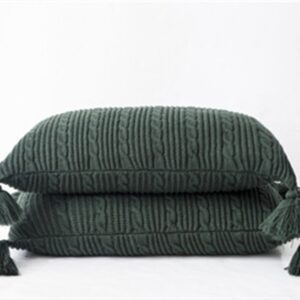 ANDUUNI Pack of 2 Pack Decorative Cotton Knitted Pillow Cushion Warm Throw Pillow for Bed Couch 18