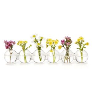 Creative One-piece Glass Vase Water Planting Glass Vessel Desktop Flower Pots Vase Set