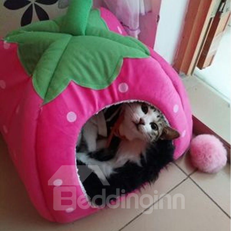 S-XXL Size Lovely Strawberry House for Pet Dog Cat - Image 7